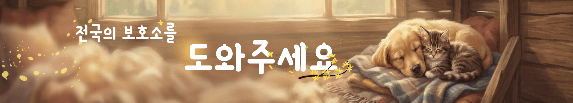 보호소 정보 확인하기